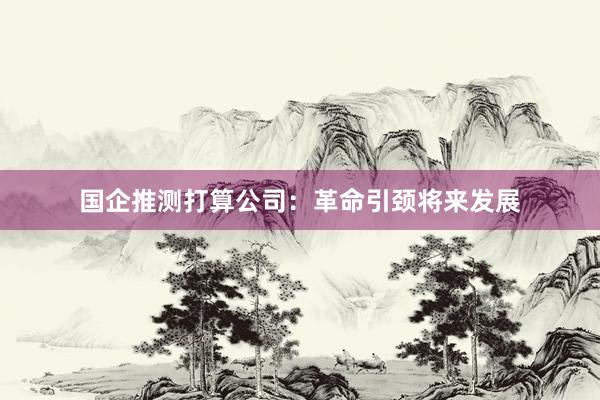 国企推测打算公司：革命引颈将来发展