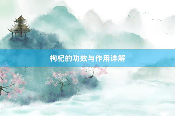 枸杞的功效与作用详解