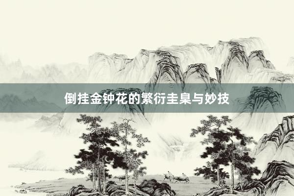 倒挂金钟花的繁衍圭臬与妙技