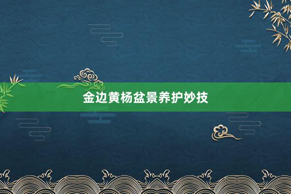 金边黄杨盆景养护妙技